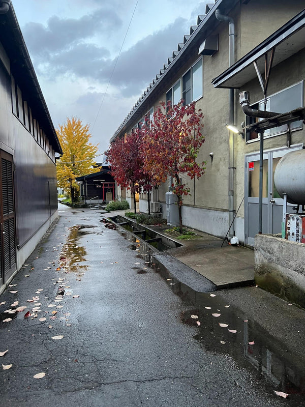 2025年11月 曙酒造を再訪｜酒造りシーズンの酒蔵で、お酒の仕込みの一連を見学＆じっくり商談